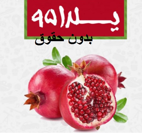 yalda95