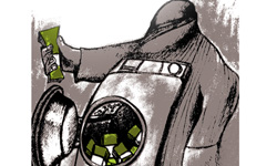 pulshoi
