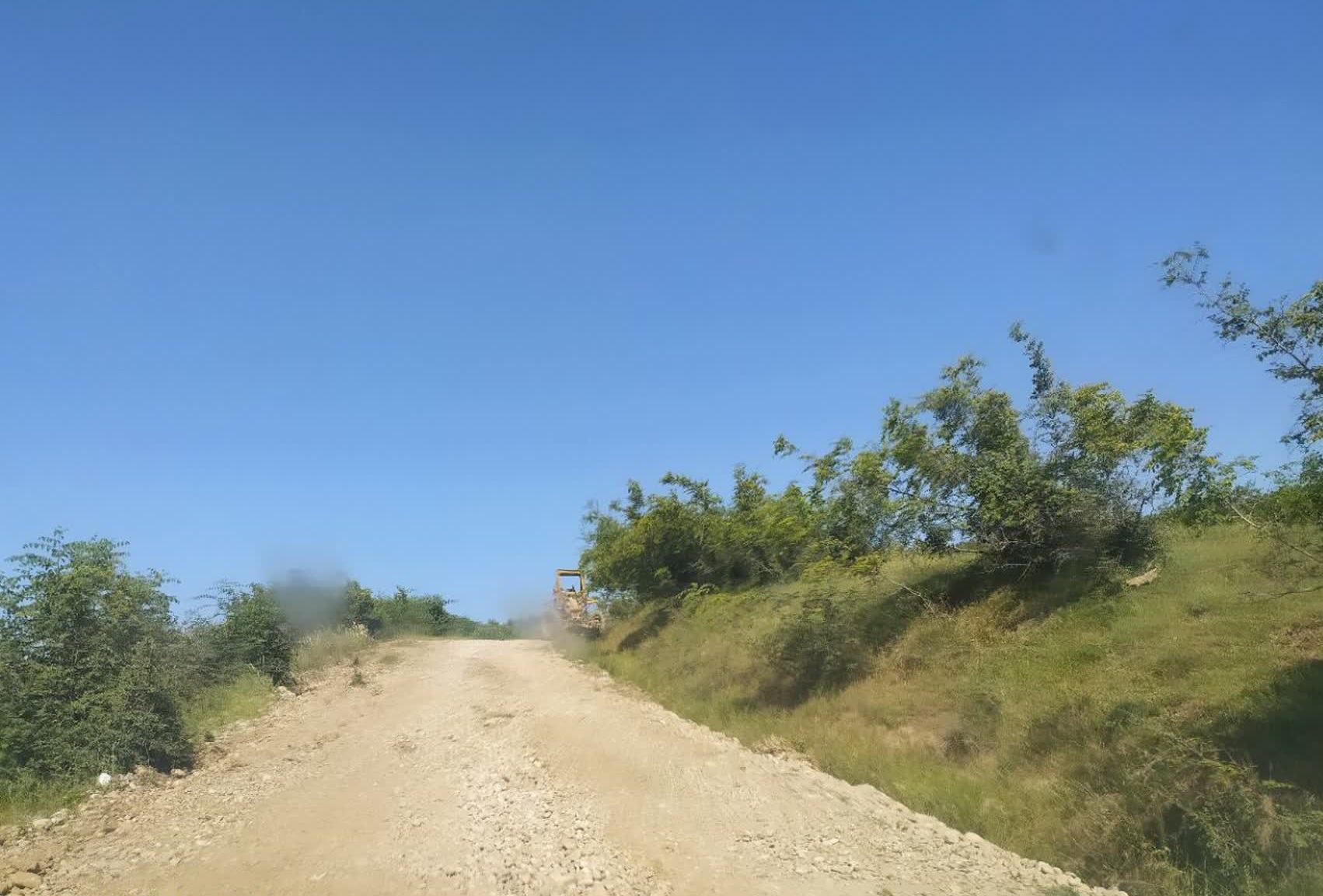 jangal1