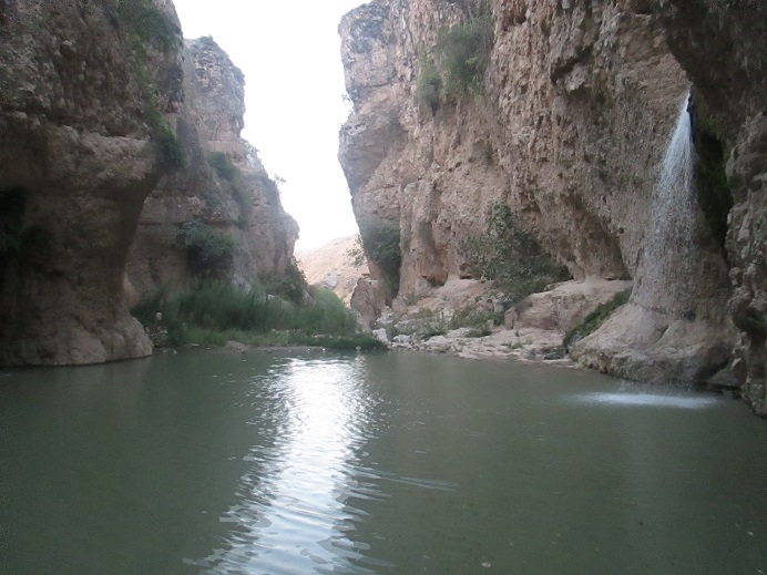 abshar