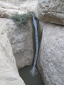 abshar